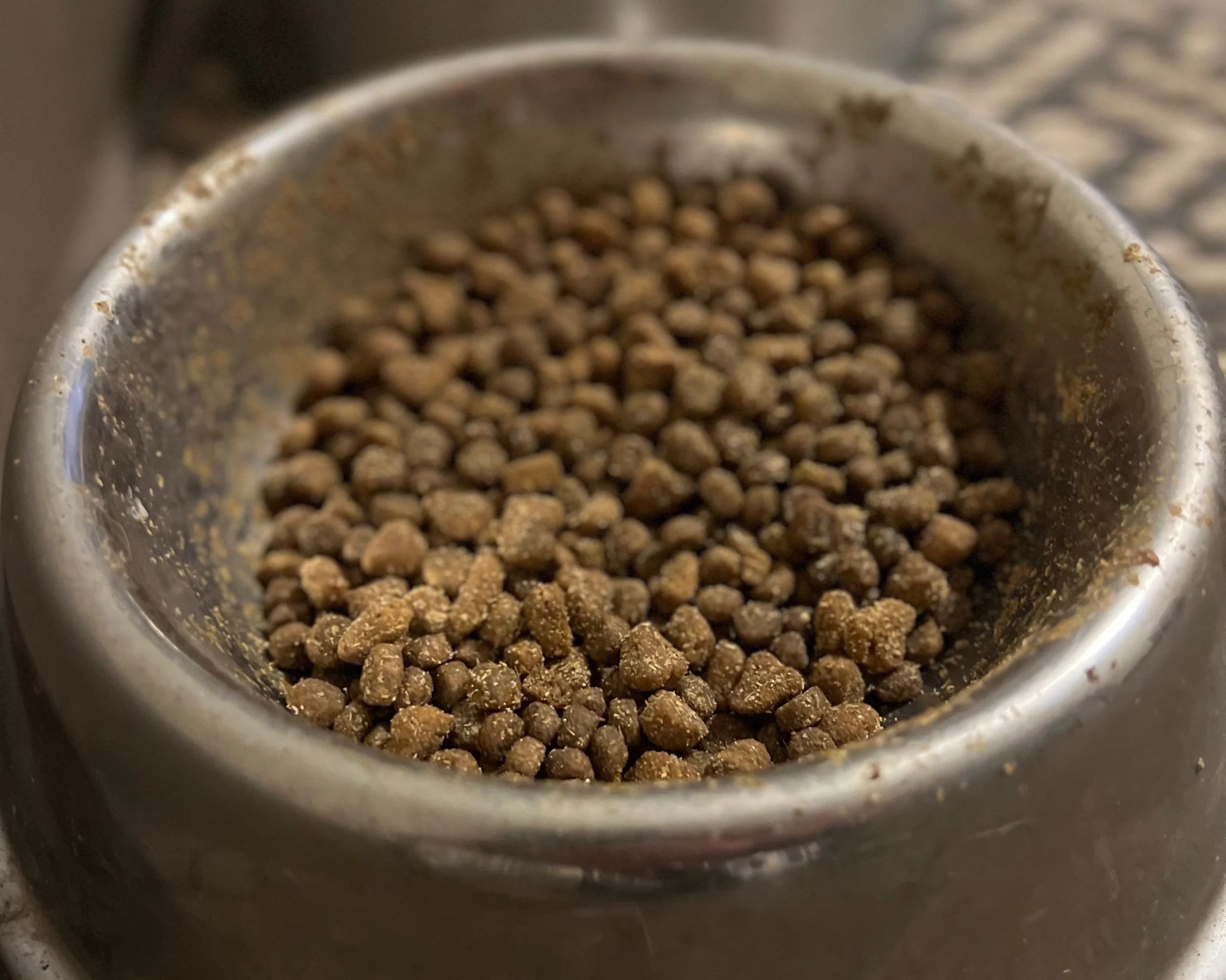 Dcm and grain free food online